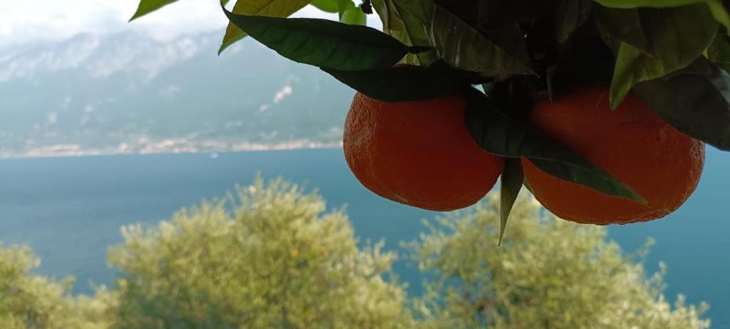 Hotel La Terrazzina Gargnano Esterno foto