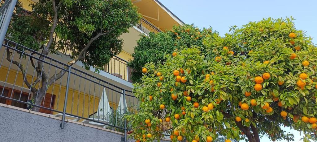 Hotel La Terrazzina Gargnano Esterno foto